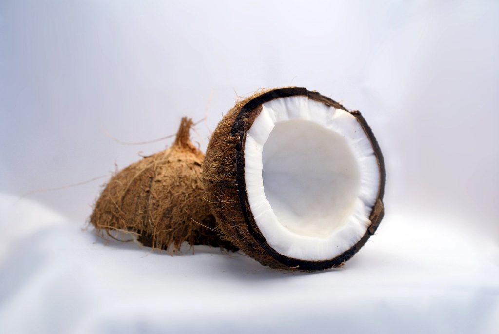 coconut, coconuts, exotic-1125.jpg